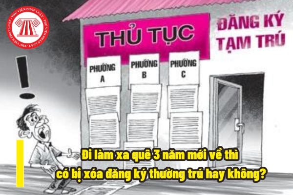 Đi làm xa quê 3 năm mới về thì có bị xóa đăng ký thường trú hay không? Đi làm xa quê 3 năm thì nơi làm việc có phải là địa chỉ thường trú hay không?