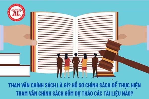 Pháp luật