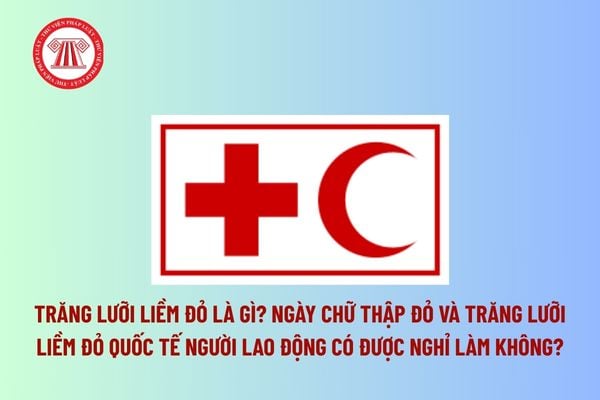 Pháp luật