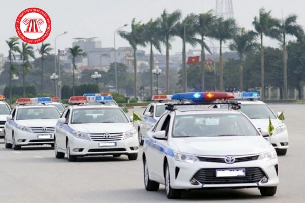 Pháp luật
