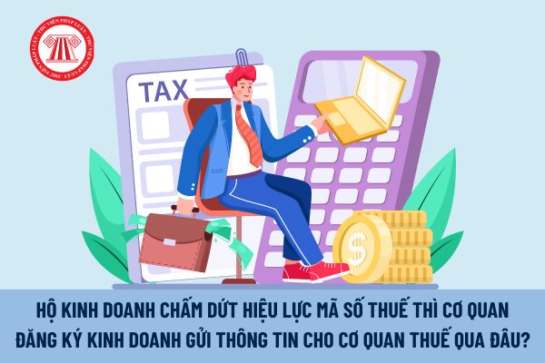 Pháp luật