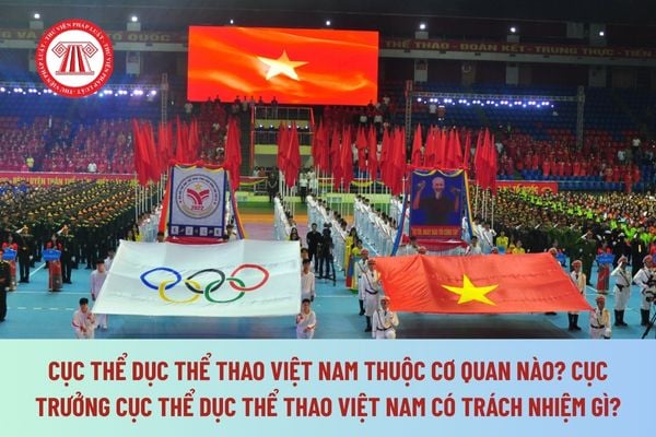Pháp luật