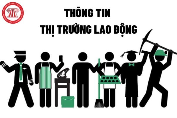 Thông tin thị trường lao động