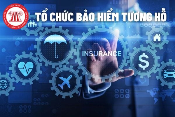 Quỹ dự trữ bắt buộc của tổ chức bảo hiểm tương hỗ được trích hàng năm theo tỷ lệ bao nhiêu phần trăm?