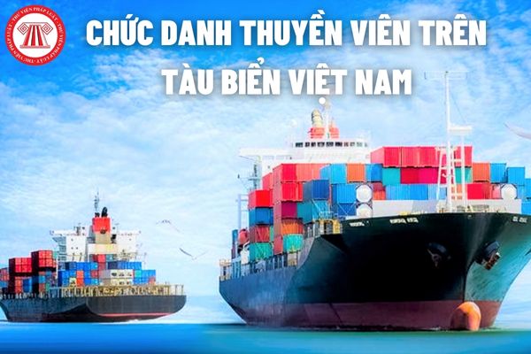 Trên tàu biển Việt Nam có các chức danh thuyền viên nào?