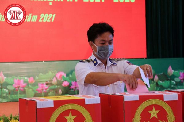 Quyền bầu cử, ứng cử, biểu quyết khi Nhà nước trưng cầu ý dân của công dân Việt Nam được quy định thế nào?