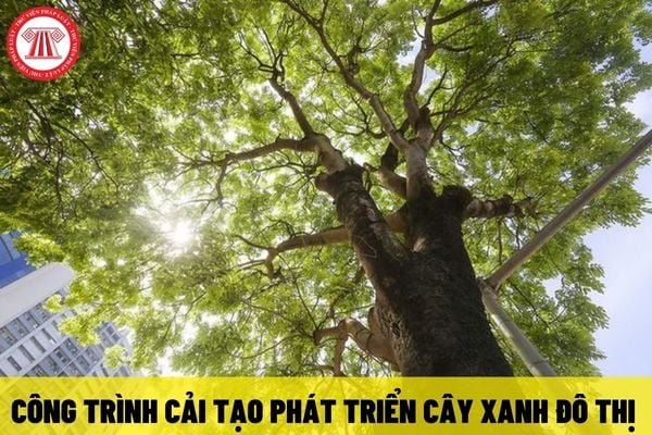 Công trình cải tạo phát triển cây xanh