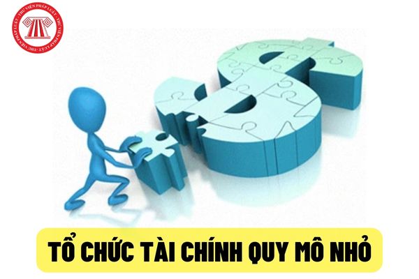 cấp Giấy phép thành lập tổ chức tài chính quy mô nhỏ