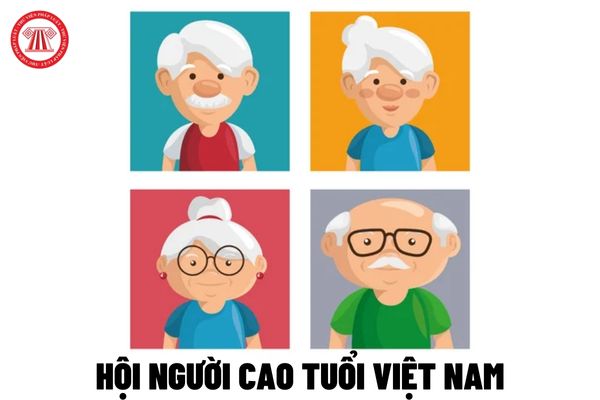Hội người cao tuổi Việt Nam