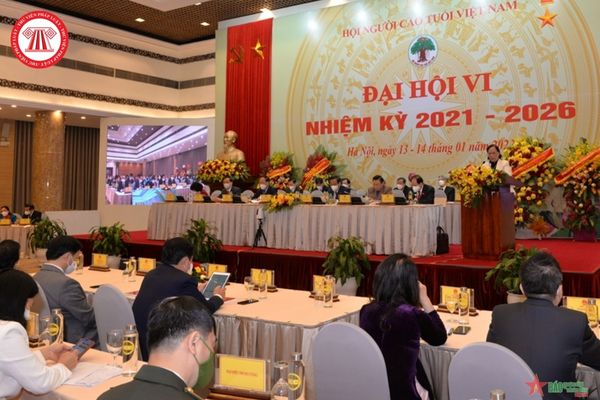 Đại hội đại biểu toàn quốc của Hội người cao tuổi Việt Nam do cơ quan nhà nước có thẩm quyền nào triệu tập?