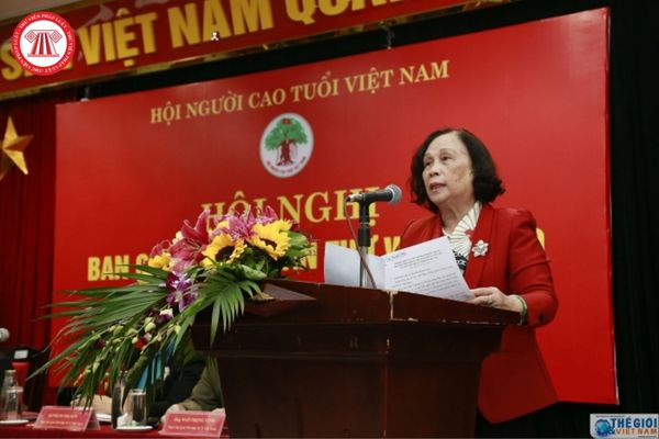 Ban chấp hành Hội người cao tuổi Việt Nam có thẩm quyền bầu chủ tịch hội hay không?