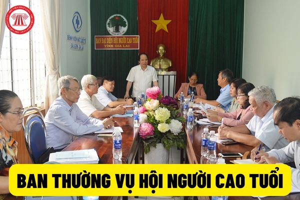 Thành viên Ban thường vụ Hội người cao tuổi Việt Nam