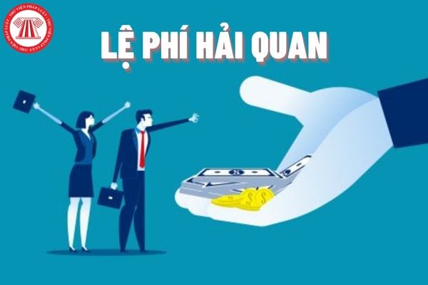 Những ai phải nộp phí nộp lệ phí hải quan? 