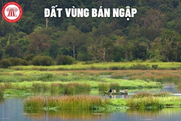 Việc sử dụng đất vùng bán ngập được quy định ra sao?