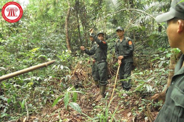 Lực lượng chuyên trách bảo vệ rừng được đảm bảo thực hiện các hoạt động gì?