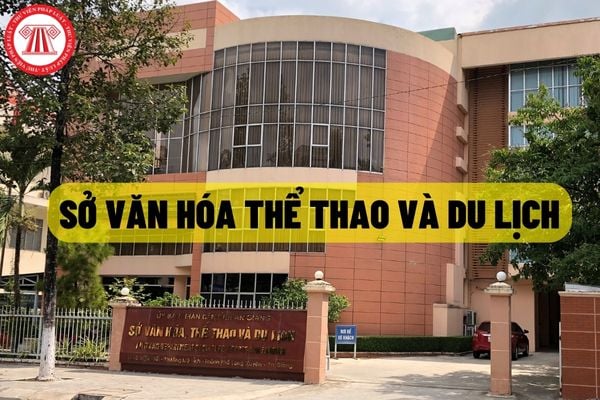 Sở Văn hóa Thể thao và Du lịch trực thuộc cơ quan nào?