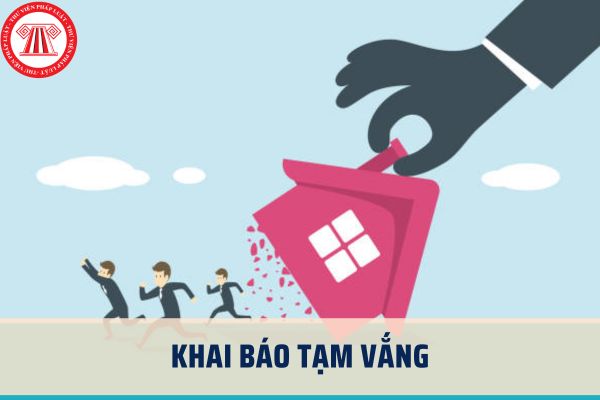 Pháp luật