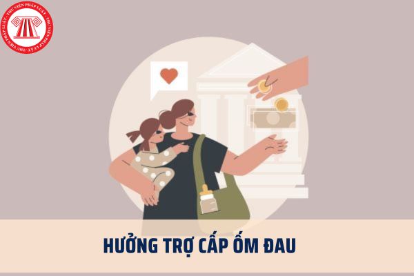 Pháp luật