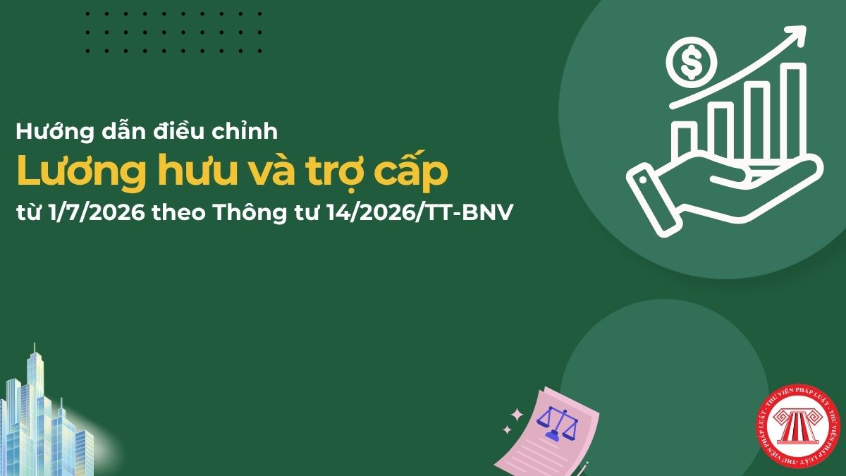 Pháp luật