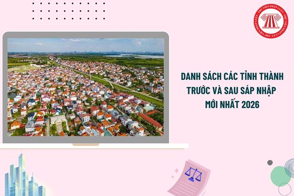 Pháp luật