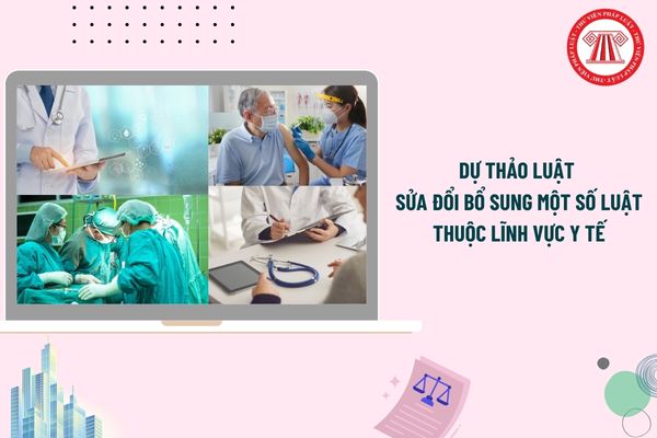 Pháp luật