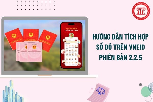 Pháp luật
