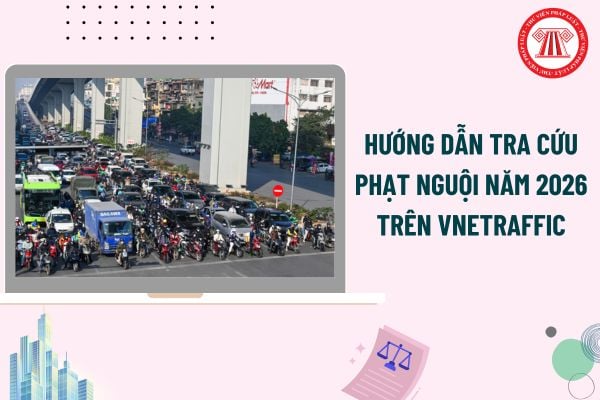 Pháp luật