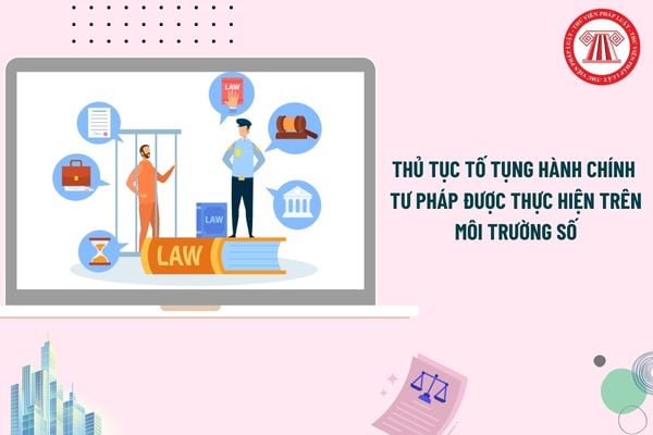 Pháp luật