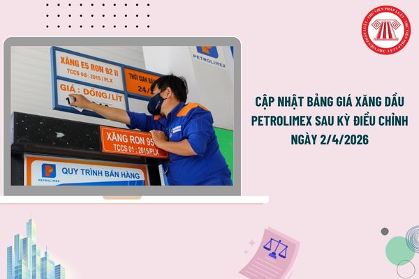 Pháp luật