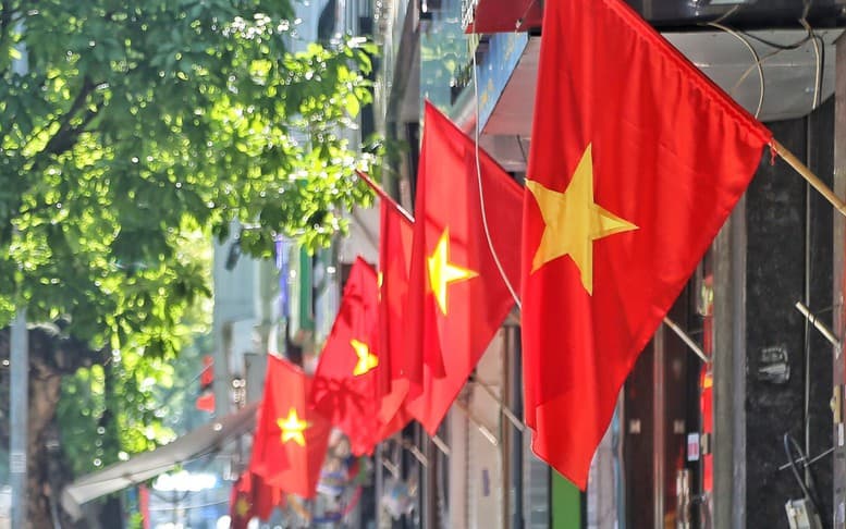 Pháp luật