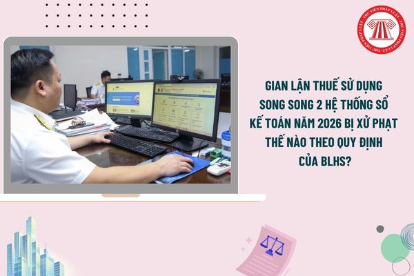 Pháp luật