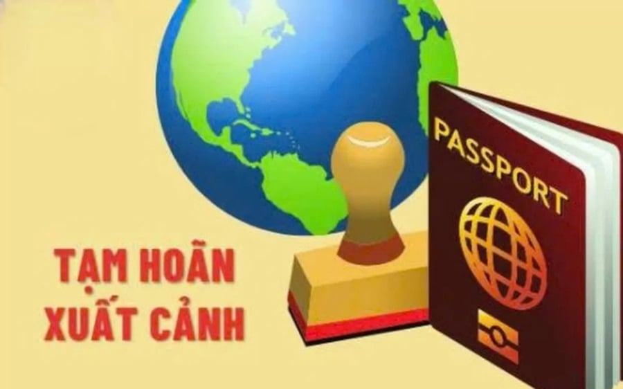 Pháp luật