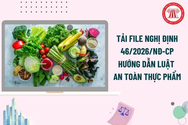 Pháp luật