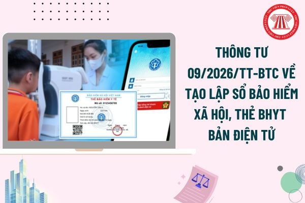 Pháp luật