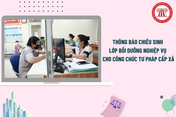 Pháp luật
