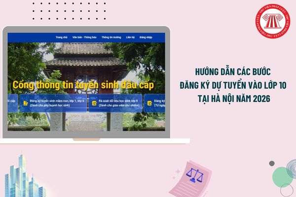 Pháp luật