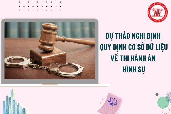 Pháp luật