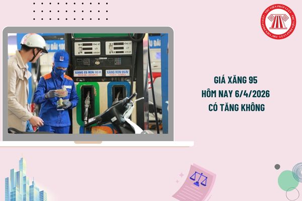 Pháp luật
