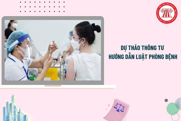 Pháp luật