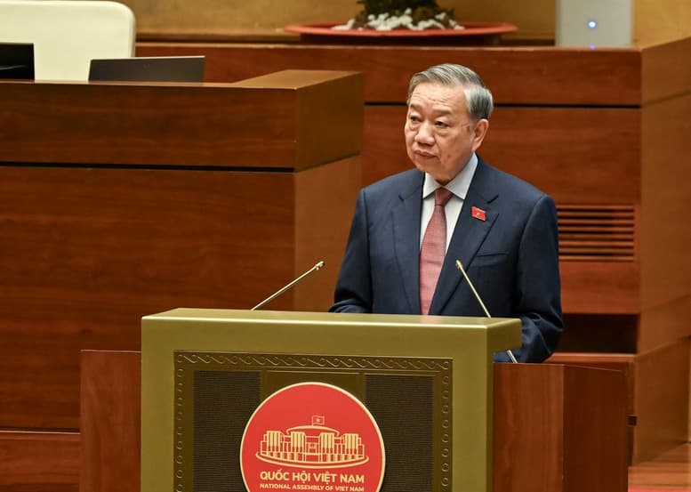 Pháp luật