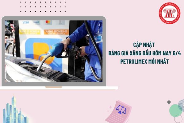 Pháp luật