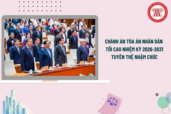 Pháp luật