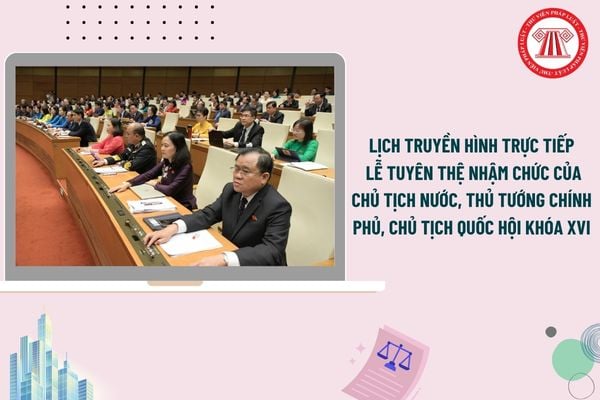 Pháp luật