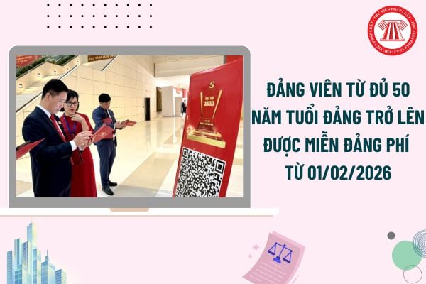 Pháp luật