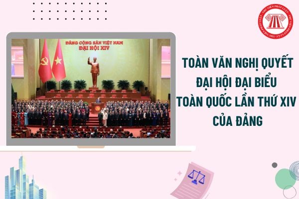 Pháp luật