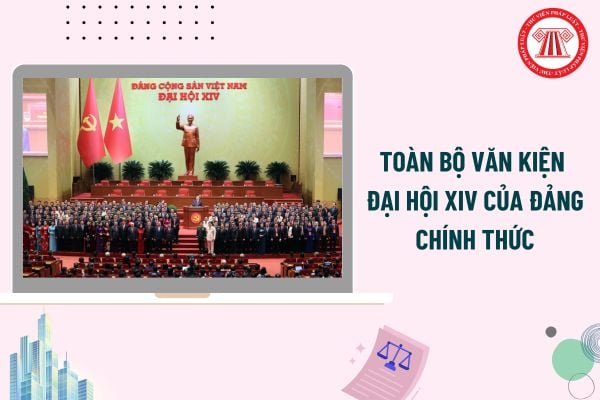 Pháp luật