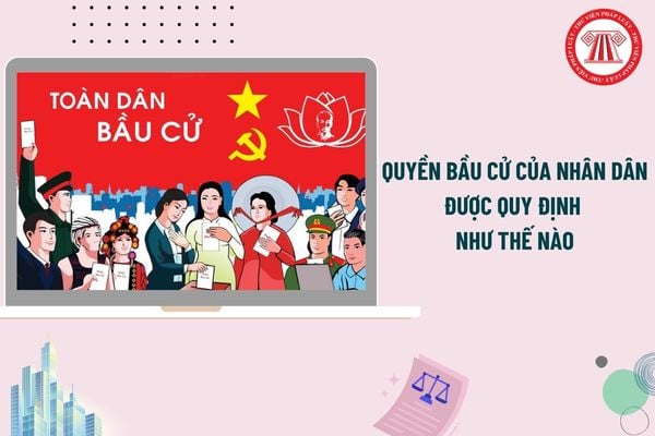 Pháp luật