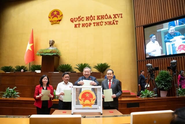 Pháp luật