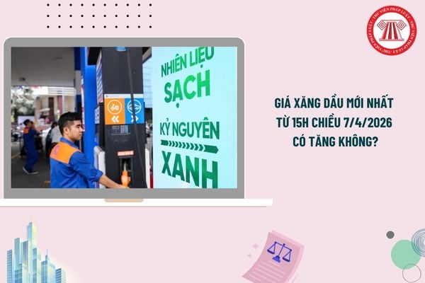 Pháp luật