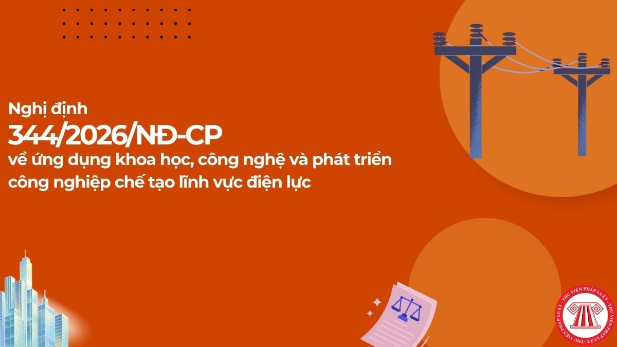 Pháp luật
